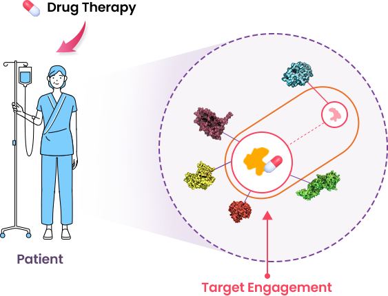 Target engagement 이미지