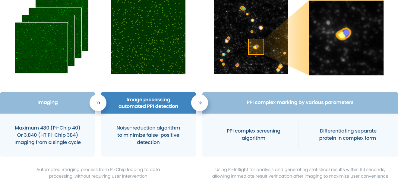 pi-insight 이미지