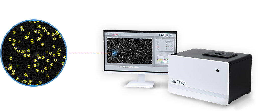 Single-Molecule Quantification