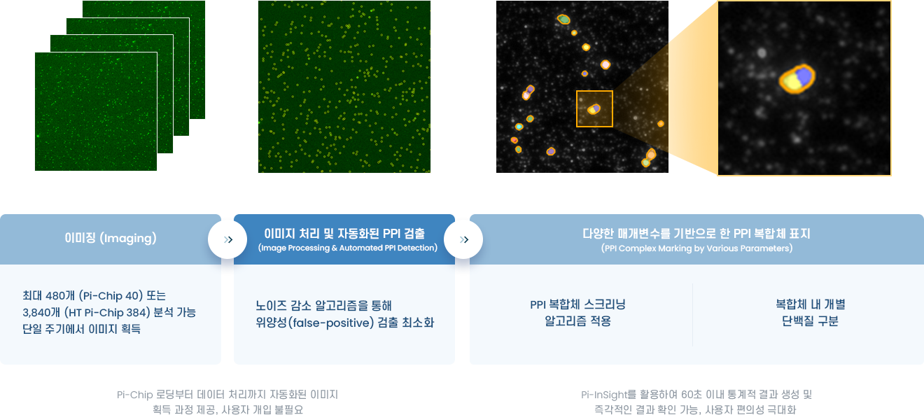 pi-insight 이미지